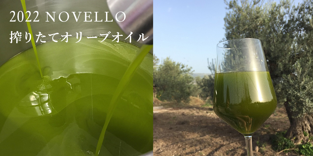 2022ノヴェッロ 搾りたてオリーブオイル