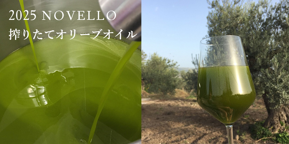 2025年　搾りたてオリーブオイル　ノヴェッロ