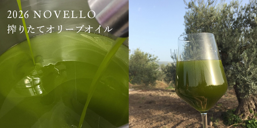 2026年　搾りたてオリーブオイル　ノヴェッロ