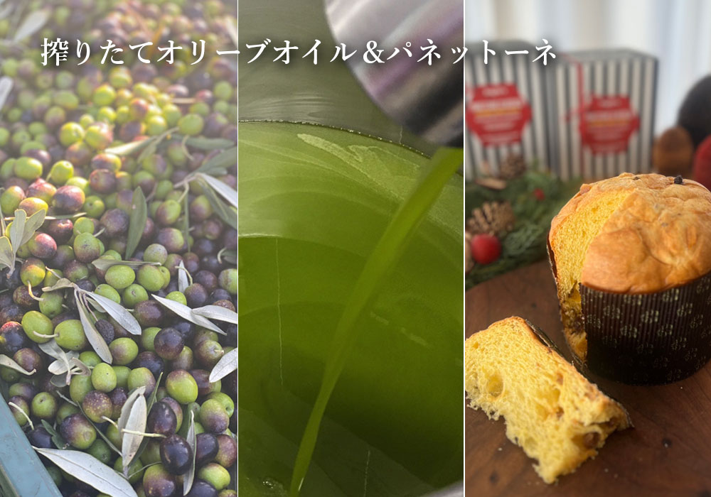 季節限定品　搾りたてオリーブオイル　ノヴェッロ