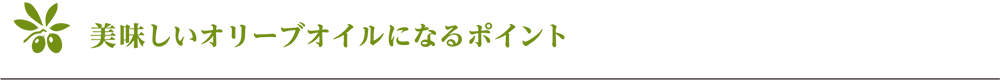 美味しいオリーブオイルになるポイント