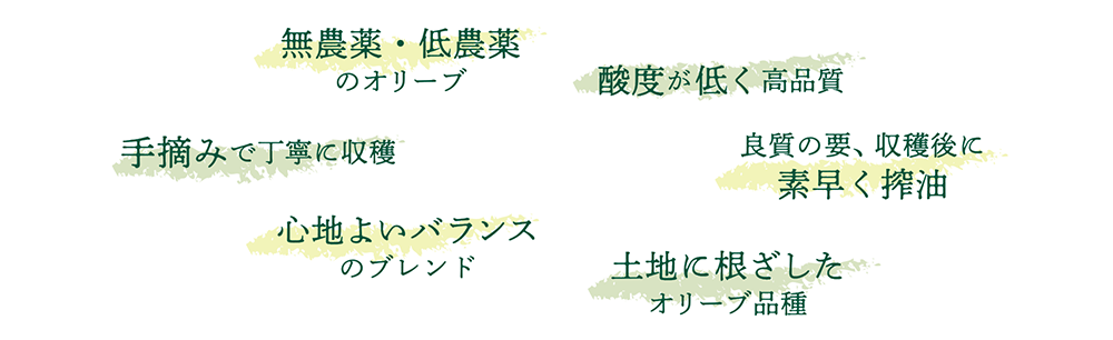 無農薬・低農薬、手摘みで丁寧に収穫、酸度が低く高品質、良質の要、収穫後に素早く搾油、酸度が低く高品質