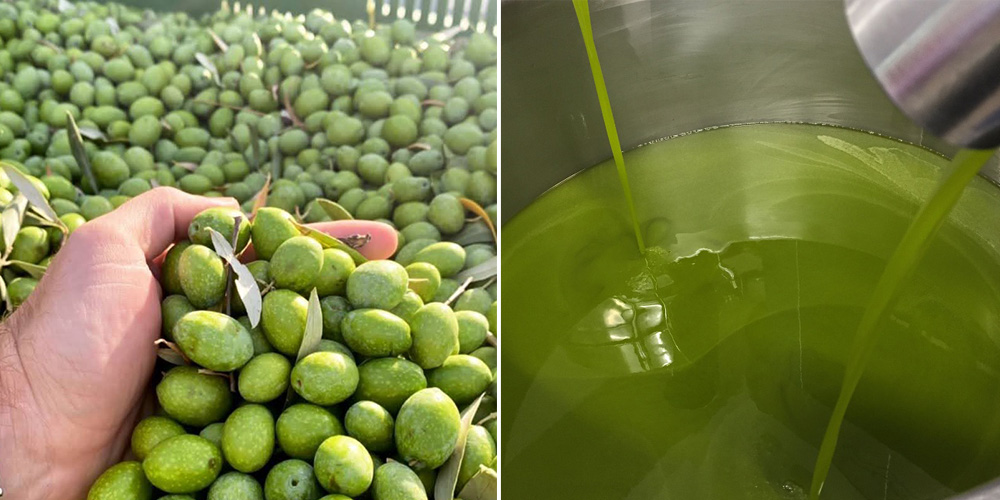 20%オフ！グルメラバーズEVOOフレーバーオイル「ローズマリー&オレガノ」 20%オフ！グルメラバーズEVOOフレーバーオイル「ローズマリー