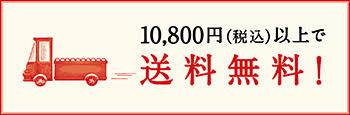 1万円以上 送料無料