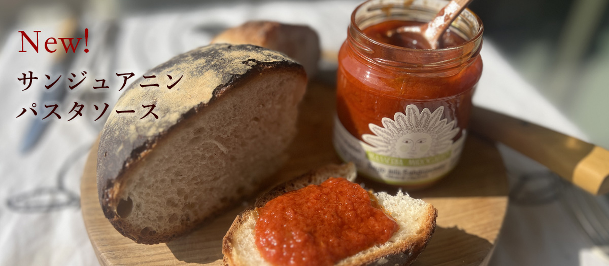 サンジュアニン　パスタソース