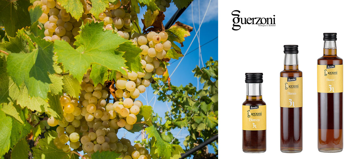 グエルゾーニ　ホワイトバルサミコ酢