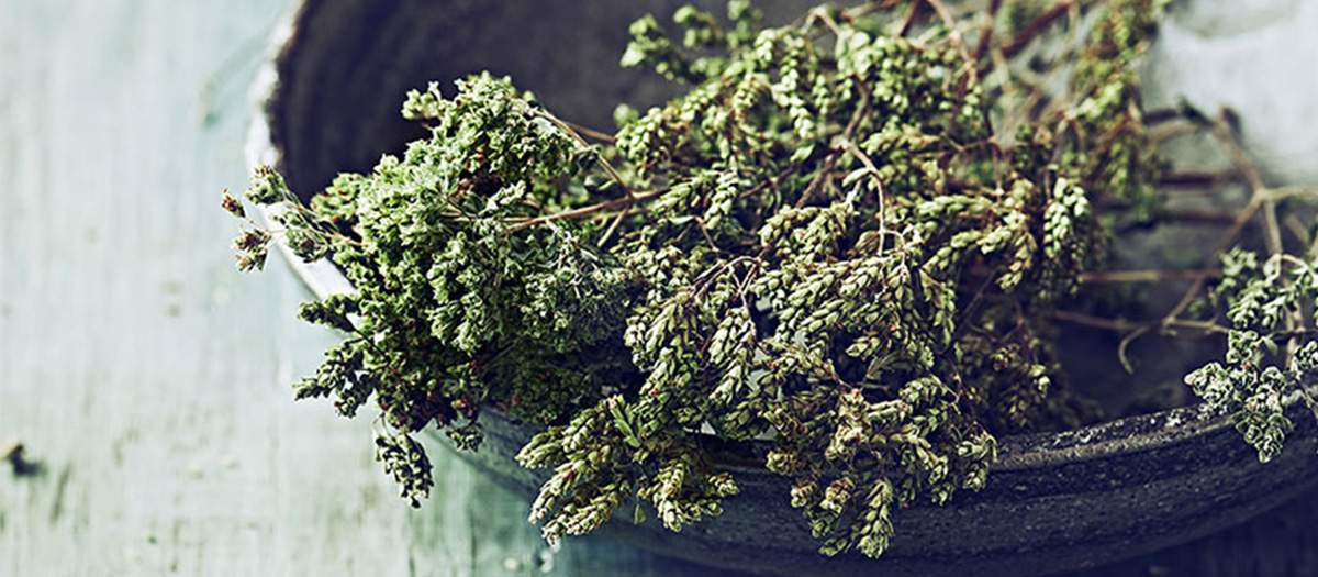 ボノモ オレガノ