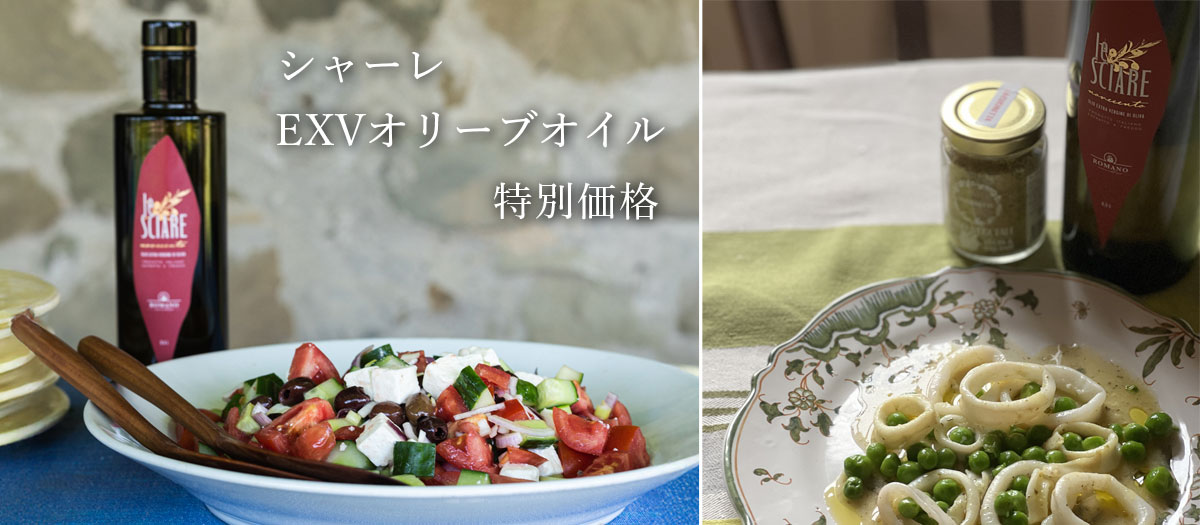 シャーレ オリーブオイル 特別価格