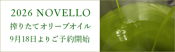 搾りたてオリーブオイル（ノヴェッロ）　9月18日からご予約開始予定