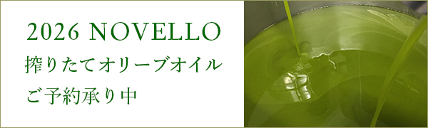 搾りたてオリーブオイル(ノヴェッロ)ご予約承り中